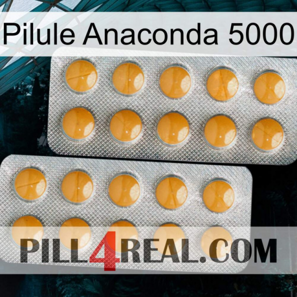 Anaconda 5000 Pill levitra2.jpg